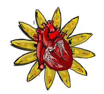 Corazón 2