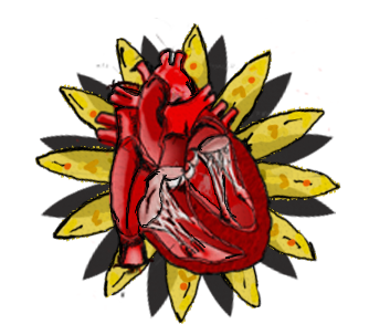 Corazón 3