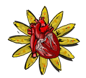 Corazón 6